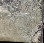 DMT sample 15623