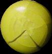 bead sample 1574
