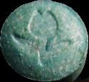 Tulip sample 1586