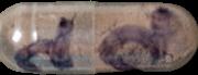Psilocin sample 16191