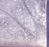 Moxy sample 16192