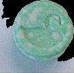 Swan sample 1620