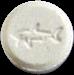 Shark sample 1637