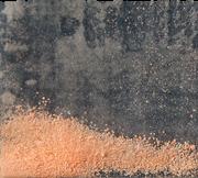 dp 30 sample 16768