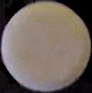 Crick sample 167