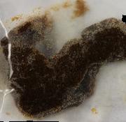 Hash sample 17047