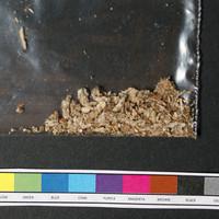 Mushrooms sample 17069