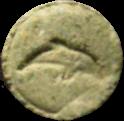 Dolphin sample 1708