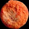 Clover sample 1720