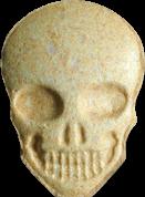 Totenkopf / MyBrand sample 17258