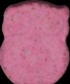 Eule sample 17443