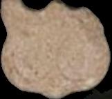 Eule sample 17457