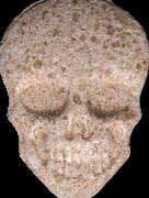 Totenkopf / MyBrand sample 17587