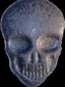 Totenkopf / MyBrand sample 17609