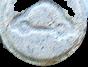 Automobile sample 1771