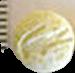 Alligator pill — lab-tested sample