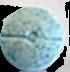 M&M sample 1783