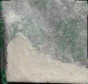 Champagne Molly sample 17866