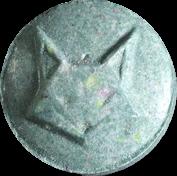 Team Fox sample 17948