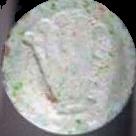 Rolex sample 1841