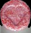 Heart sample 1846