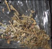 Plant Material sample 18529