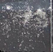 CBD sample 18675