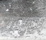 Carisoprodol sample 18924