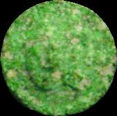 Green Mysteries sample 1893