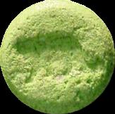 Green Cougar sample 1903