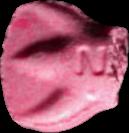 NASA / 2cb sample 19062