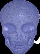 MyBrand Skull sample 19105