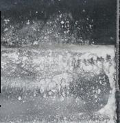 A-PiHP sample 19132