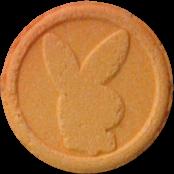 Playboy Bunny sample 1916