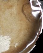 Down sample 19172