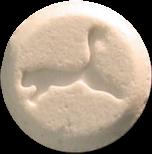Puma sample 1941