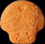 Mushroom sample 19468