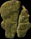 green_homer sample 1950