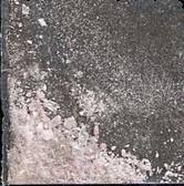 Purple Molly sample 19539
