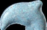 Dolphin sample 19609