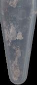 Purple Moonrock sample 19658