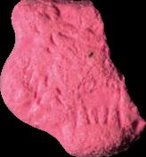 Tiger sample 19751