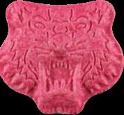 Tiger sample 19789
