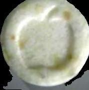 Apple sample 1986