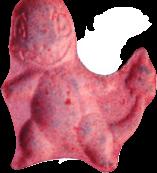 Glumanda sample 19973