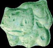 Bisasam sample 19974