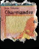 Charmander sample 20002