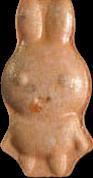 Hare sample 20096