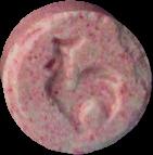 Pink Rooster sample 2010