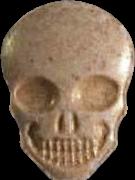 Totenkopf / MyBrand sample 20121